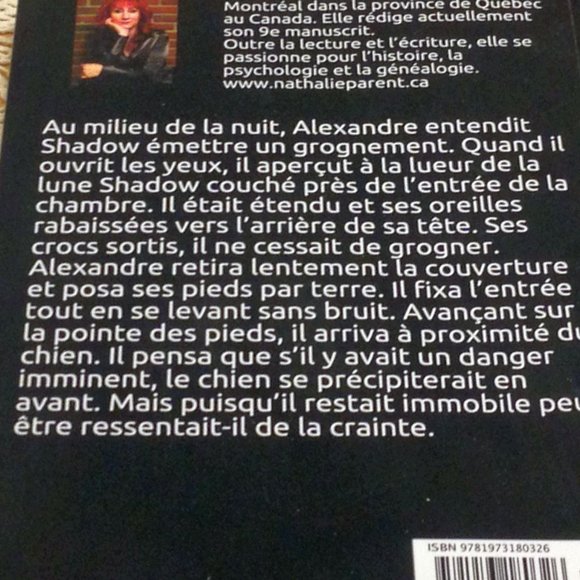 French Language, Ombre by Nathalie Parent - Picture 4 of 7